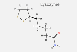 Лизоцим