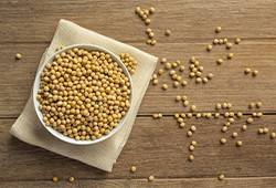 Изолят соевого белка