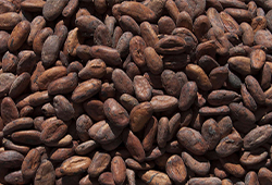 Польза какао-порошка