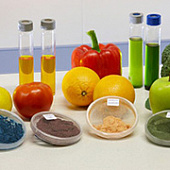 Пищевые ингредиенты